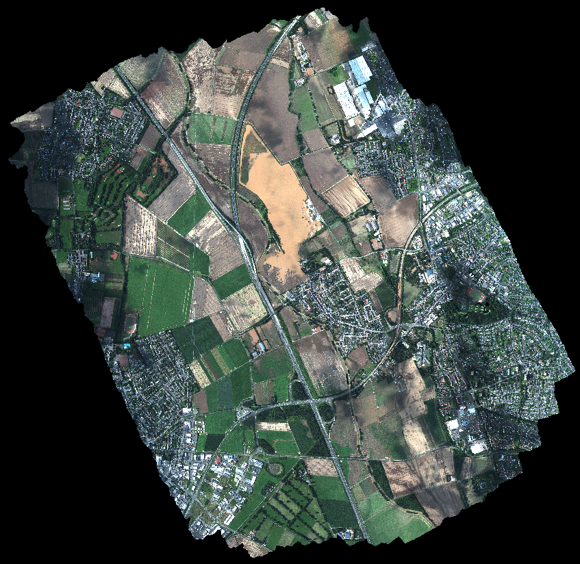 Complete dataset
